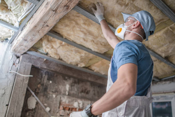 Best Specialty Insulation in Centreville, VA